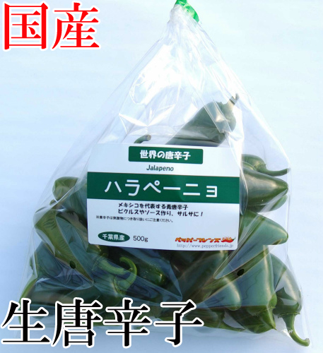 【冷蔵便】国産　生 ハラペーニョ(グリーン) 500g　生鮮品