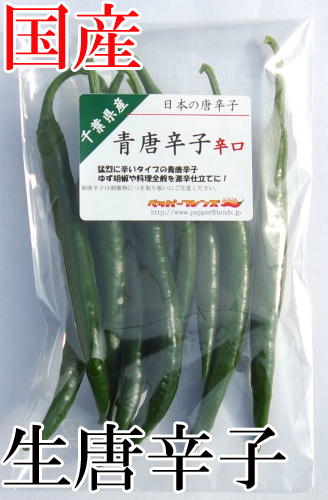 【冷蔵便】国産　生 青唐辛子 辛口 50g　生鮮品