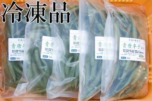 国産　生 青唐辛子 甘口 2.5kg　冷凍品(500g×5袋)