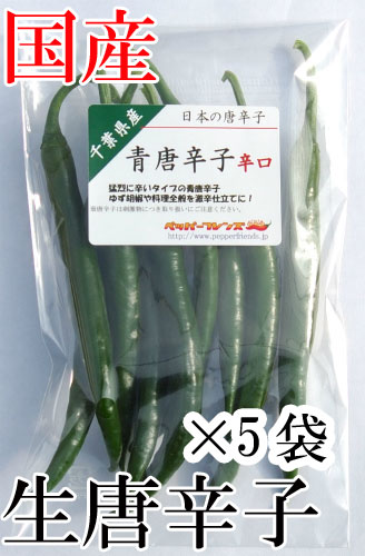 【冷蔵便】国産　生 青唐辛子 辛口 50g×5袋　生鮮品