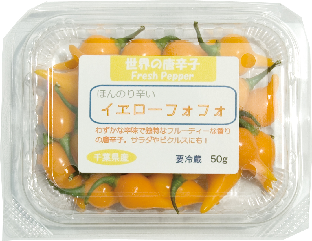 【冷蔵便】国産 生 イエローフォフォ 50g 生鮮品