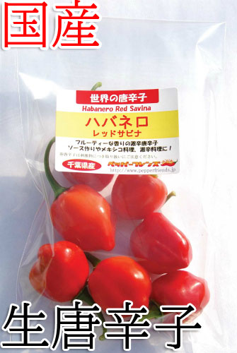 【冷蔵便】国産　生 ハバネロ レッドサビナ(レッド) 50g　生鮮品