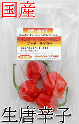 【冷蔵便】国産　生 トリニダード・スコーピオン・ブッチ・テイラー(赤)20g　生鮮品