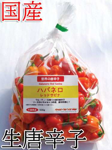 【冷蔵便】国産　生 ハバネロ レッドサビナ(レッド) 500g　生鮮品