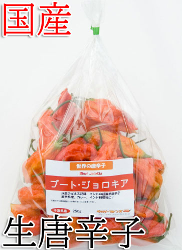 【冷蔵便】国産　生 ブート・ジョロキア(レッド) 250g　生鮮品