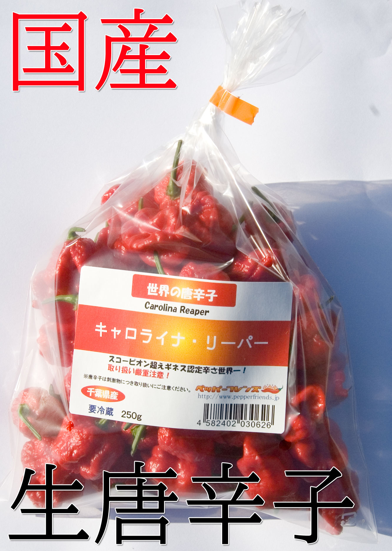 【冷蔵便】国産　生 キャロライナ・リーパー(レッド)　250g　生鮮品