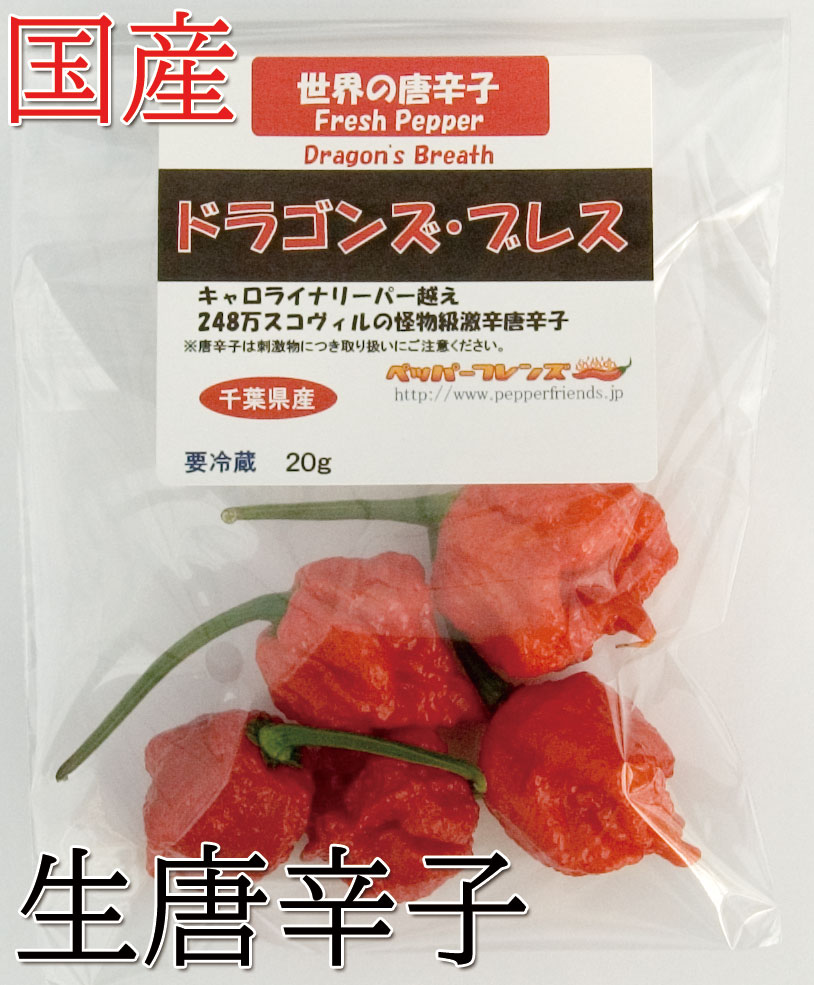 【冷蔵便】国産　生 ドラゴンズ・ブレス(レッド)　20g　生鮮品